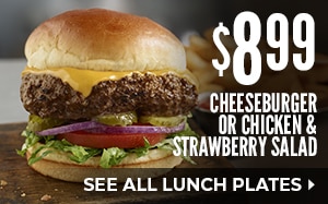 Longhorn Lunch Menu Nutrition | Besto Blog