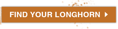 Orange button with the text, 'Find Your Longhorn'.