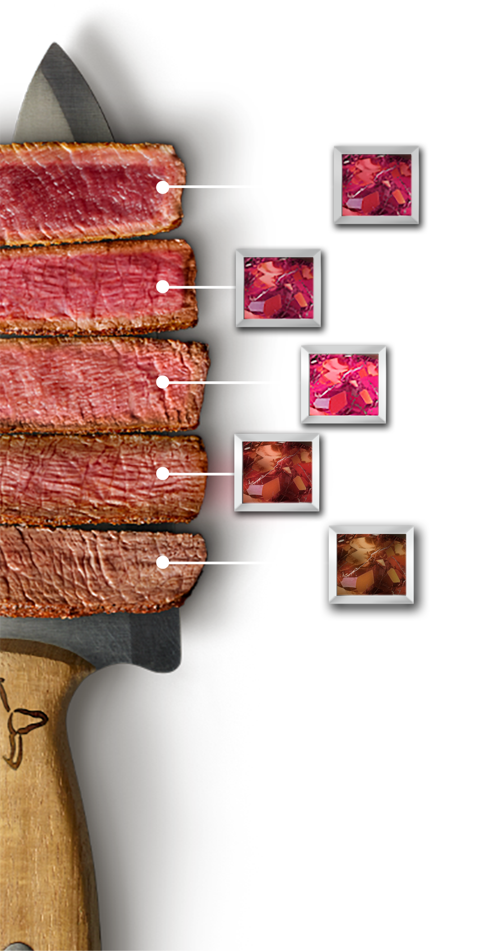 Different steak cuts, its temperatures and their corresponding ring gem.